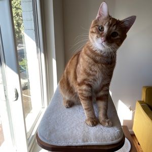 Meet your Posher, Zachary